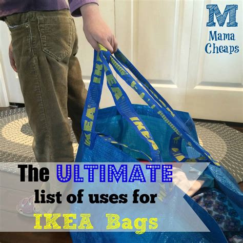 ikea discovera bag.